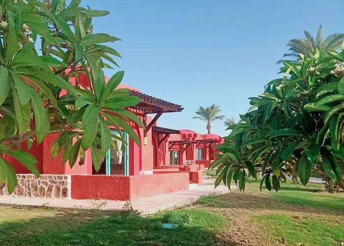 Swisstouch Oriental 4* Coraya Bay